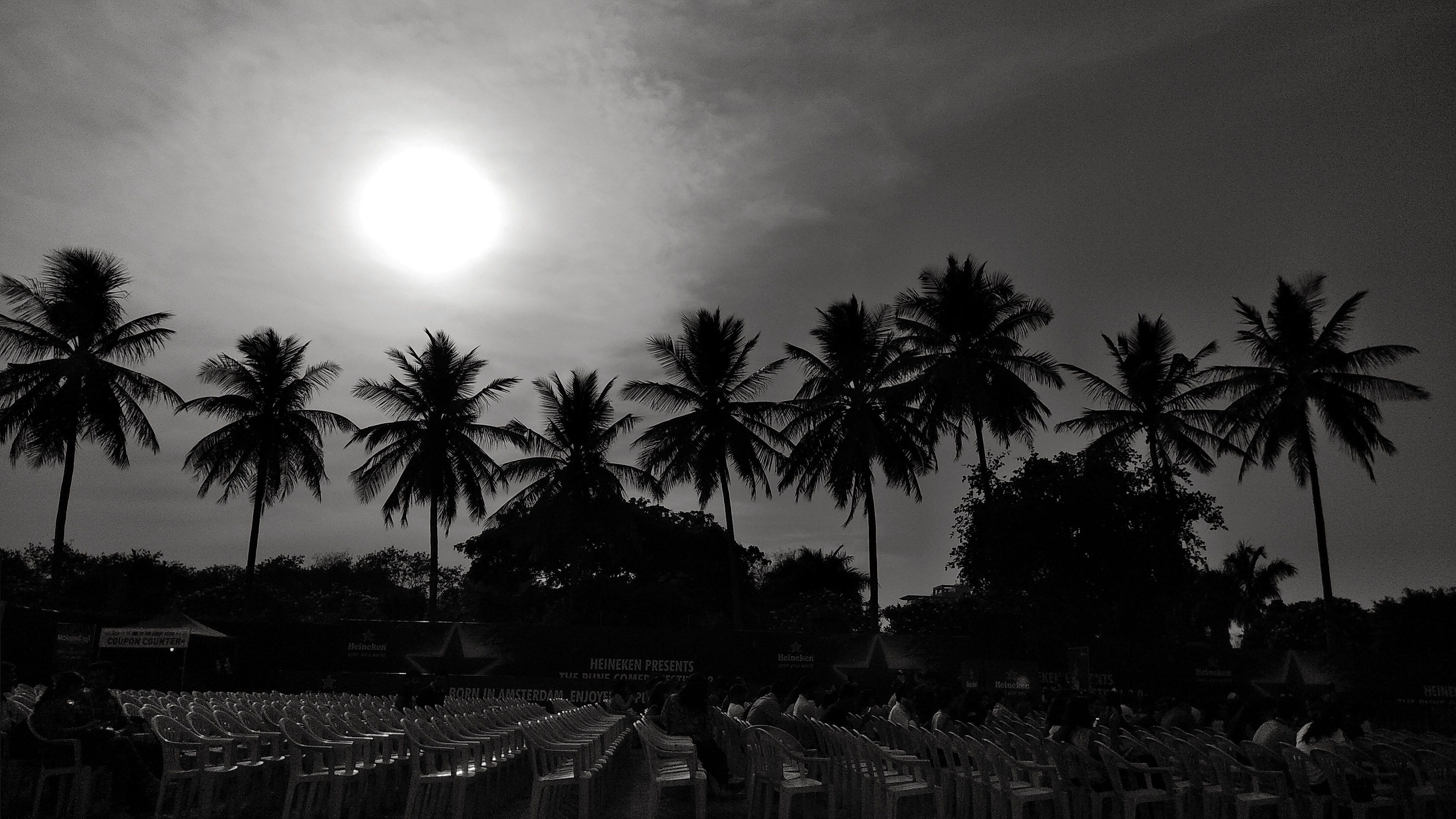 Free of beach, black and white, hdr