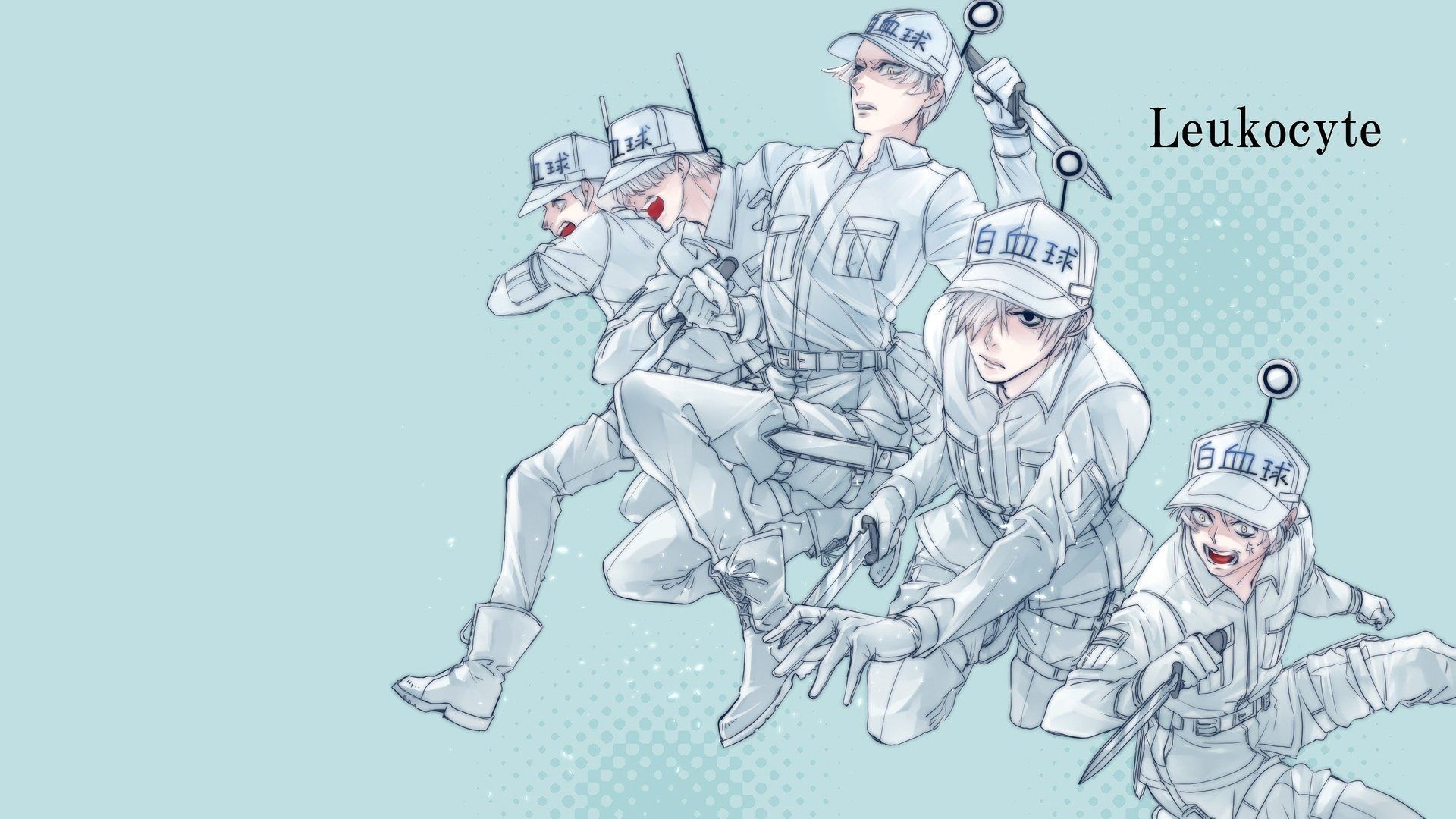 Download Cells At Work Anime White Blood Cell Wallpaper