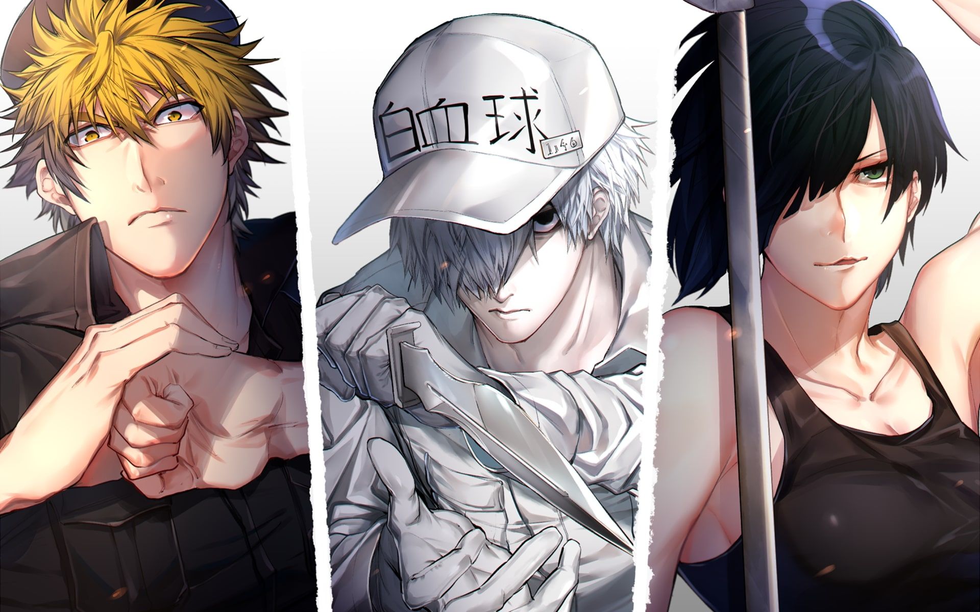 Anime Cells At Work Wallpapers Wallpaper Cave 4113