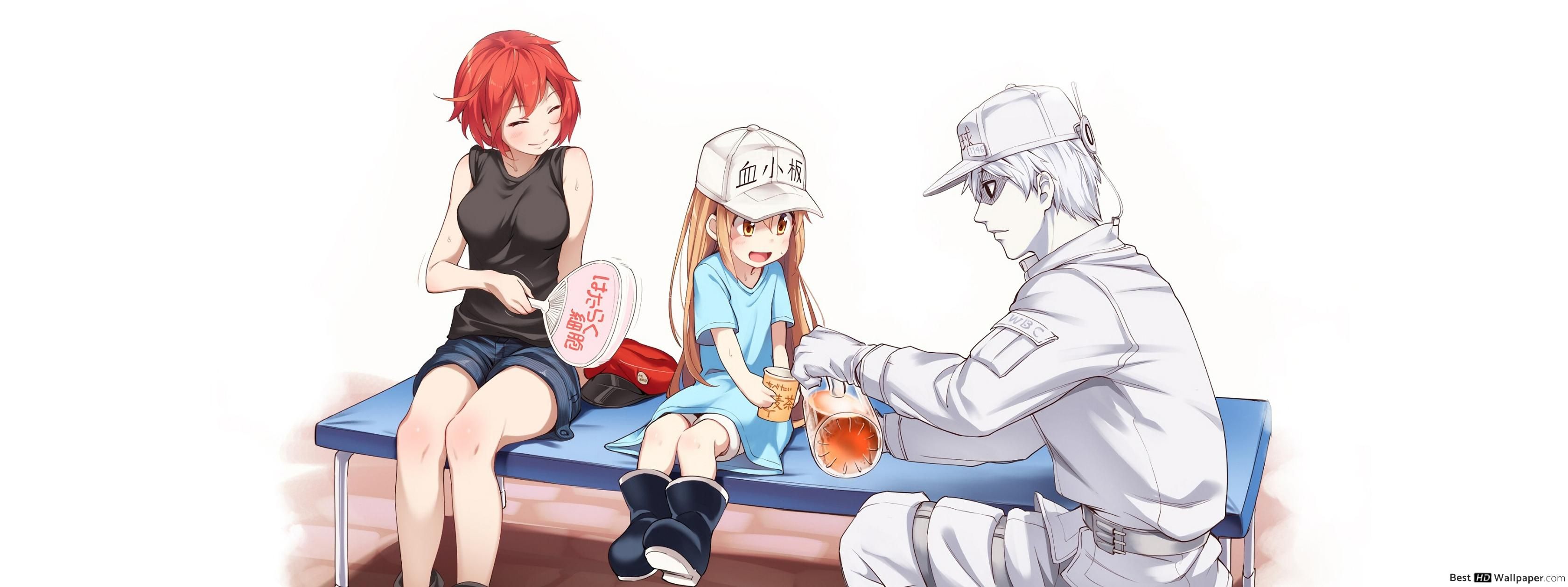 Cells At Work Aesthetic Collage Wallpaper