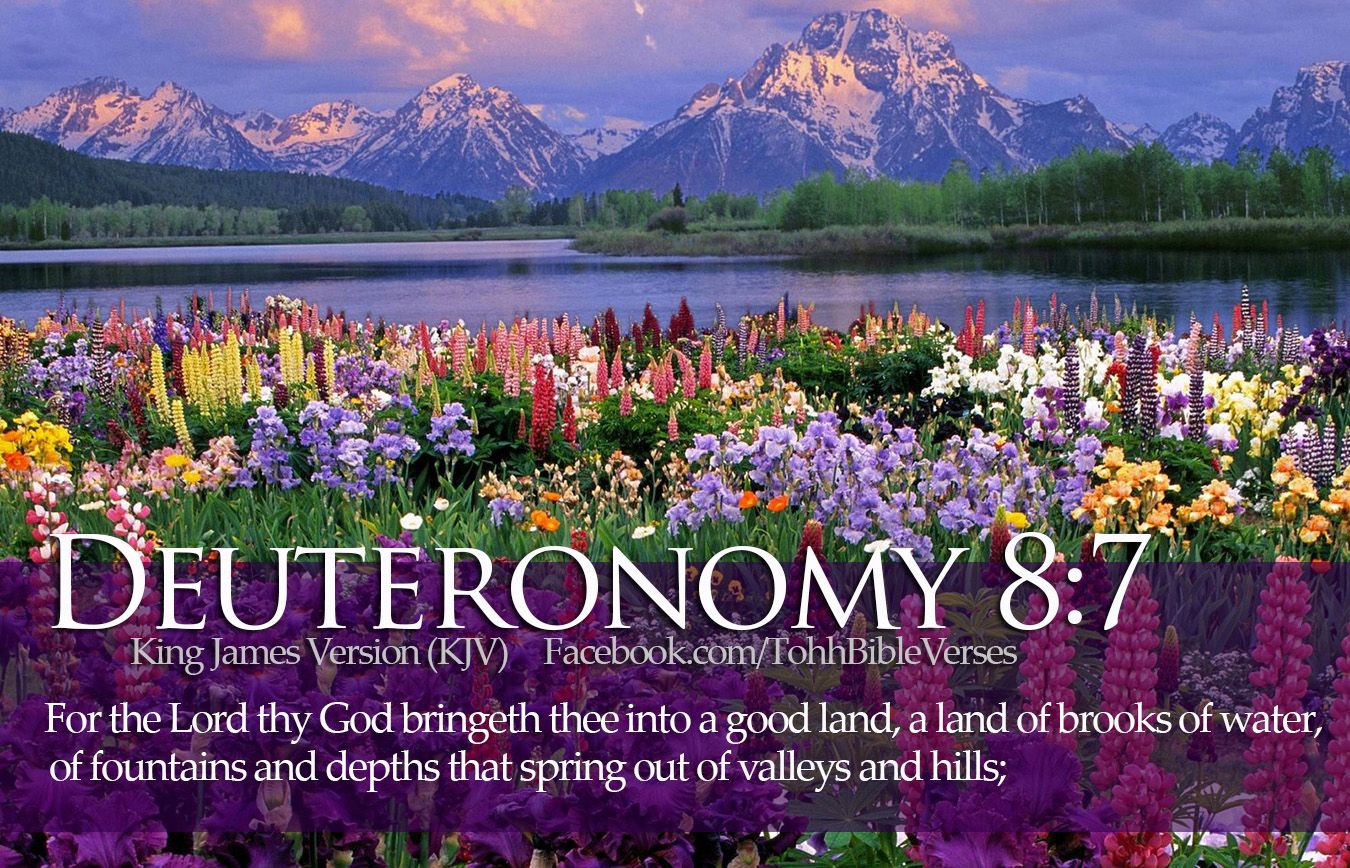 Bible Verses Deuteronomy 8:7 Flowers River Wallpaper. TOHH Bible