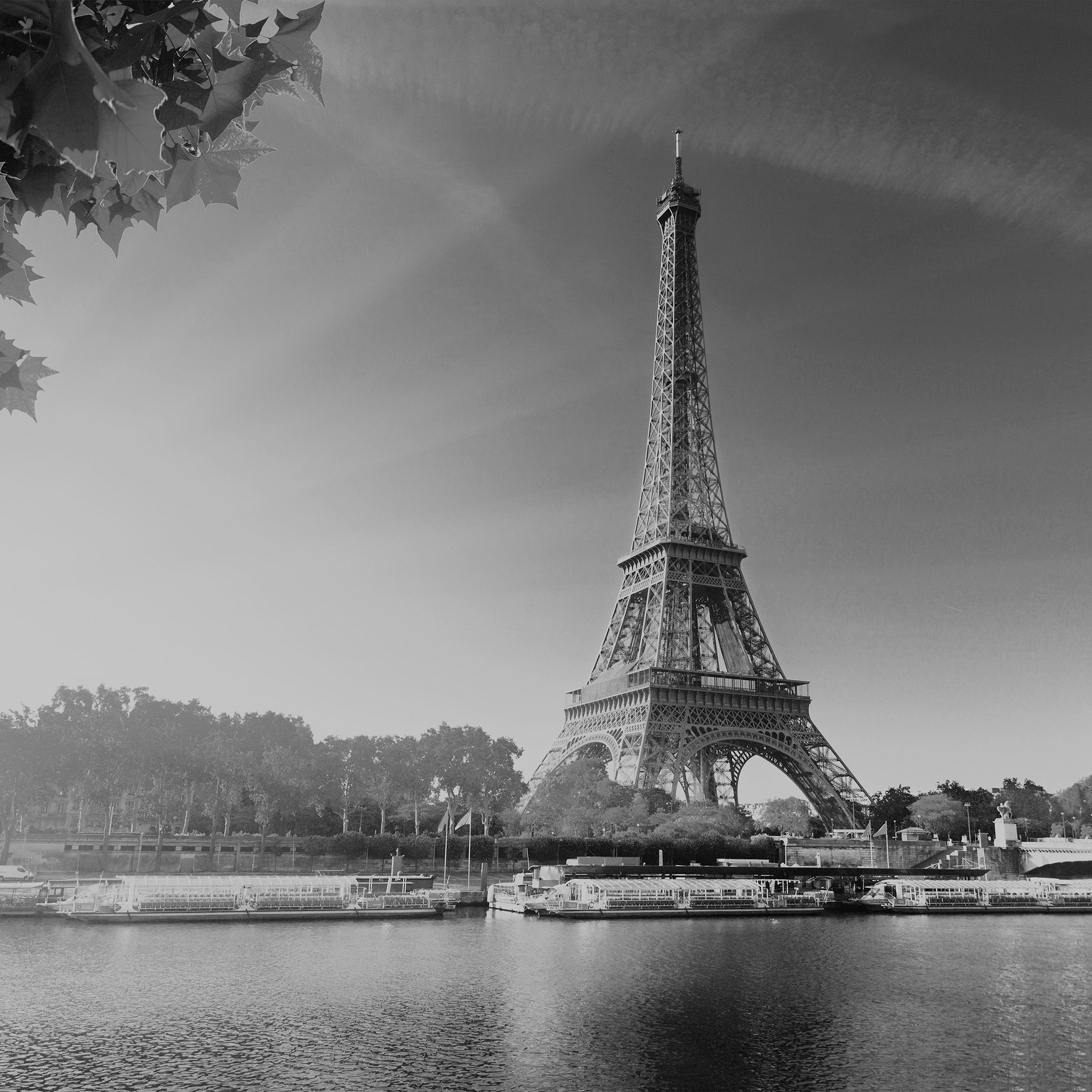 Sky Dark Bw Eiffel Tower Nature Paris City Wallpaper