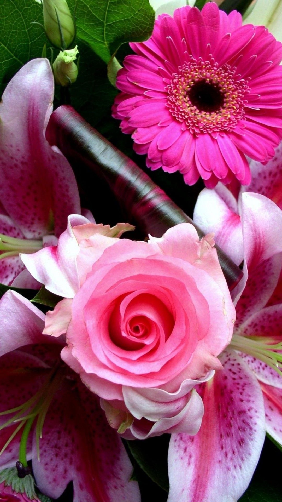 iPhone Wallpaper HD Pink Flower Cute Wallpaper