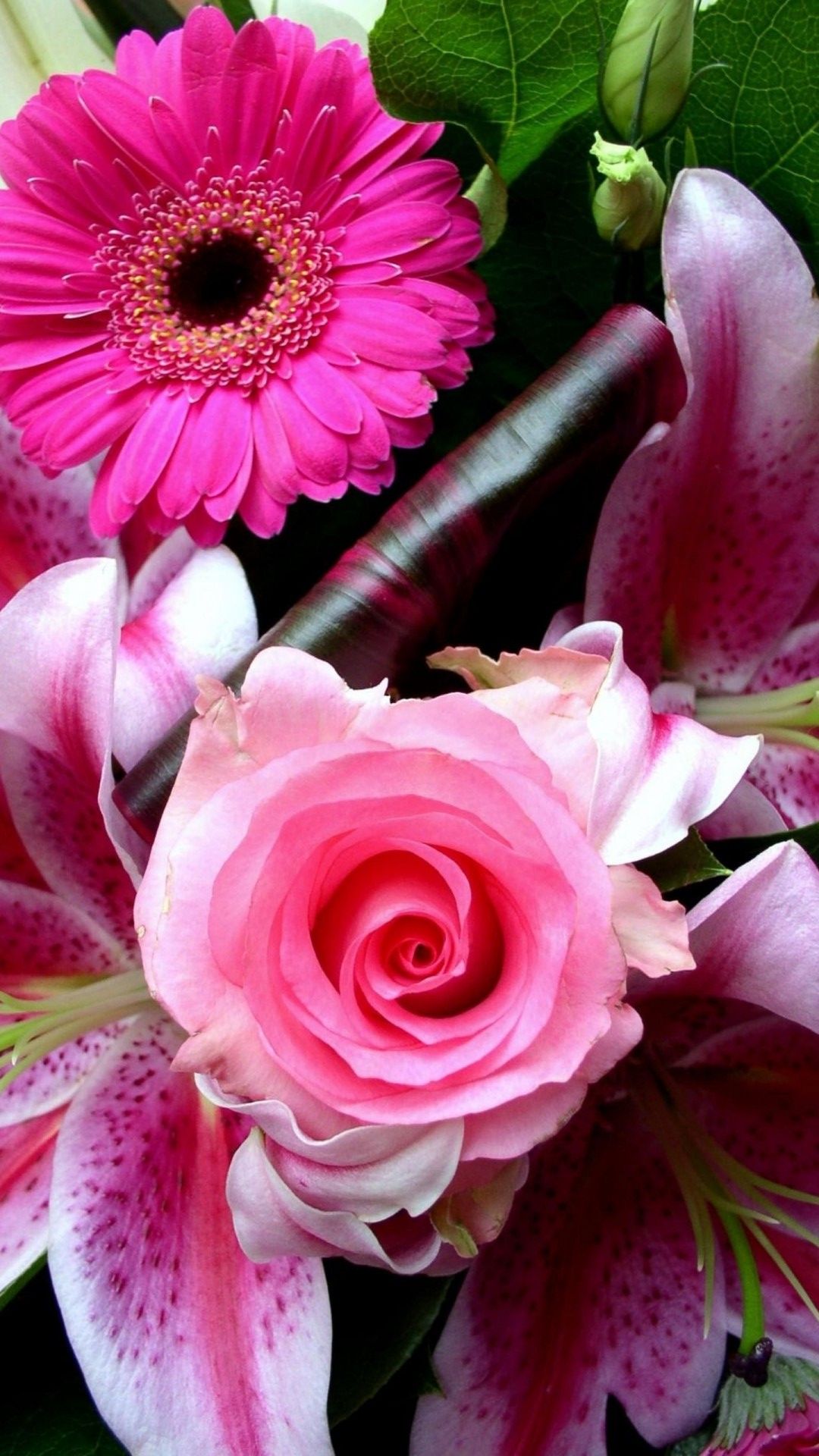 iPhone Wallpaper Pink Rose Flower 3D iPhone Wallpaper