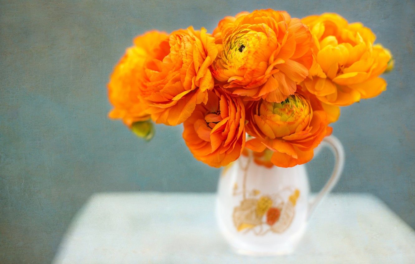 Wallpaper bouquet, texture, pitcher, orange, Ranunculus image
