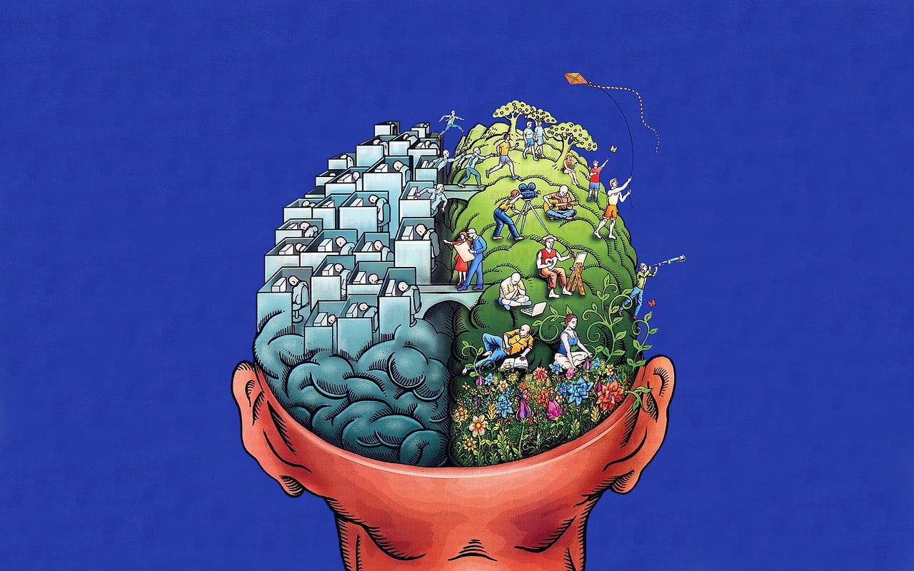 Human brain artwork, life, brain HD wallpaper