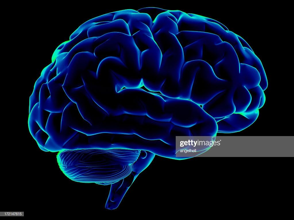 Human Brain HD Wallpapers - Wallpaper Cave