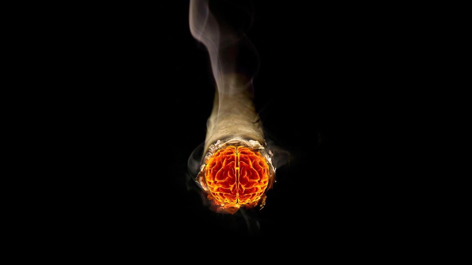 Red human brain illustration, cigarettes, brain HD wallpaper