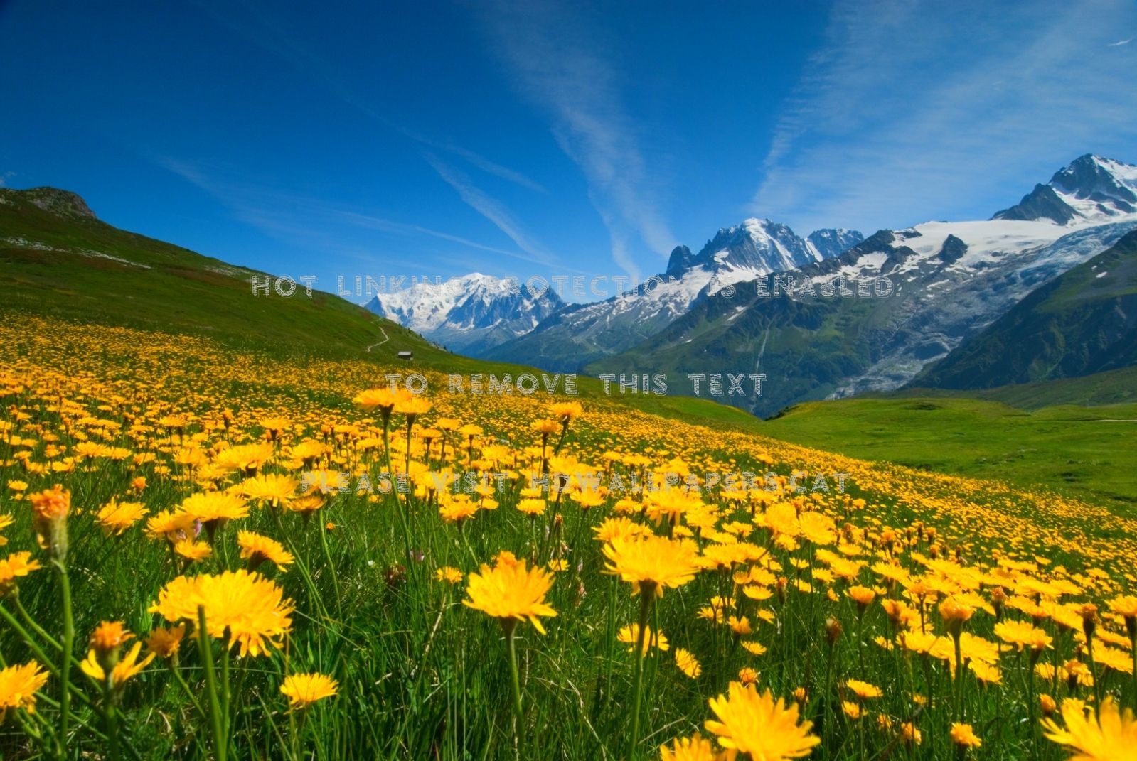 spring at french alps blue yellow snowy