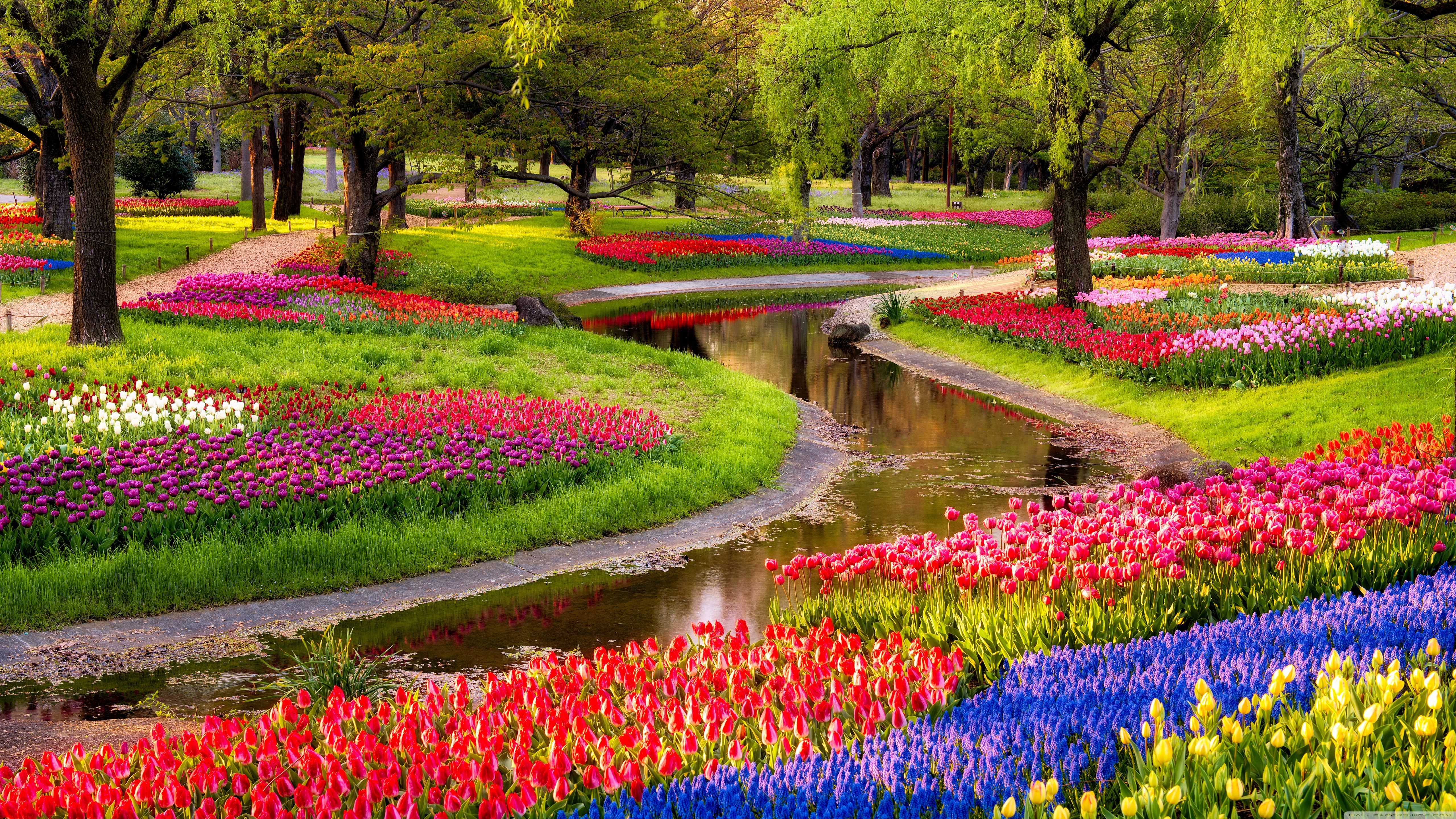 Beautiful Spring Garden Ultra HD Desktop Background Wallpaper
