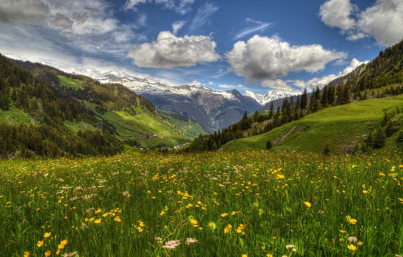 Wallpaper flowers, mountains, spring, Switzerland, valley, Alps