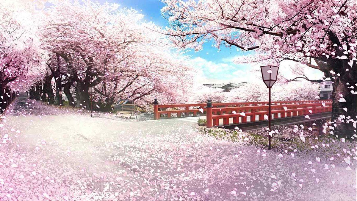 Japanese Sakura Wallpaper Free Japanese Sakura Background