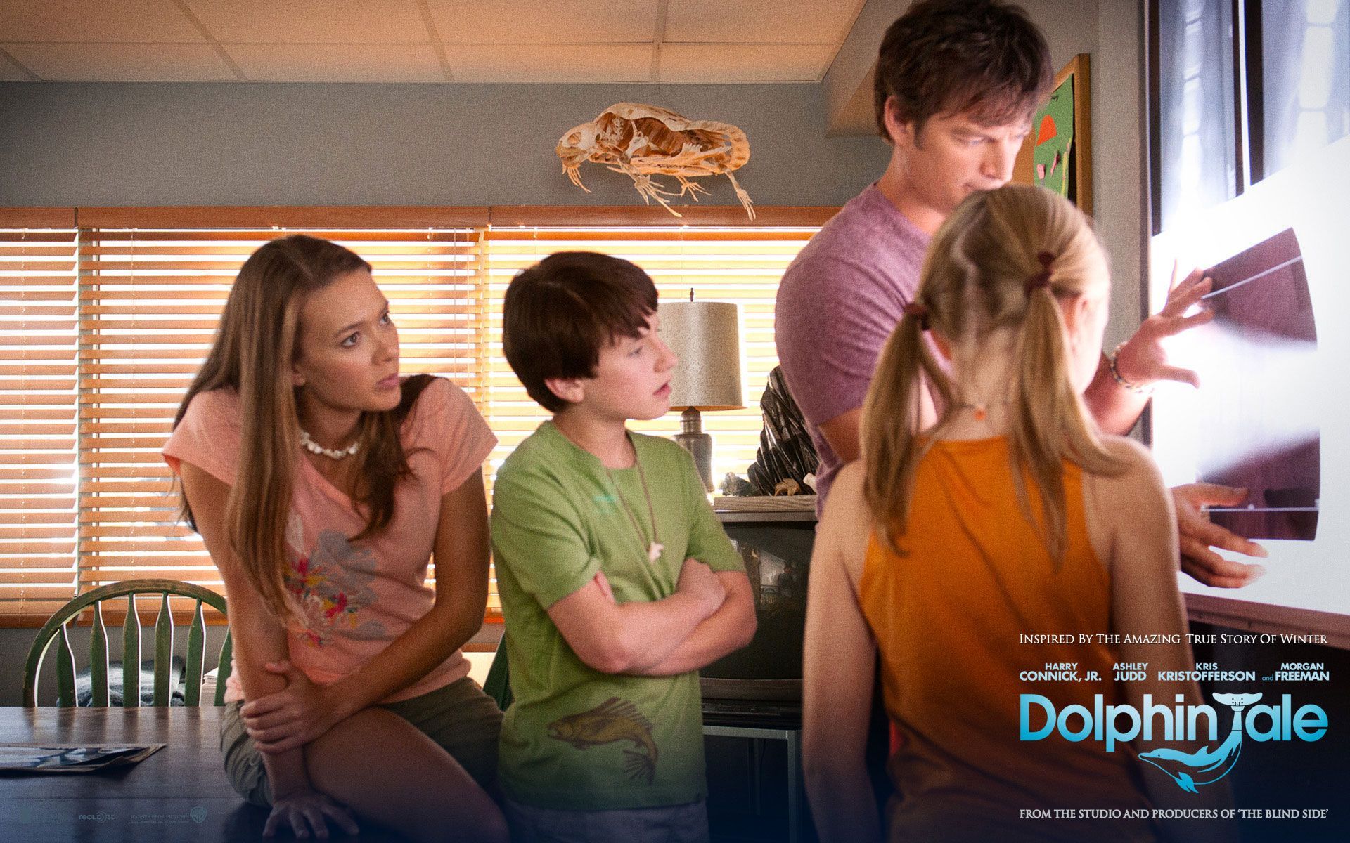 Drama. Dolphin tale, Dolphins, Celebrity picture