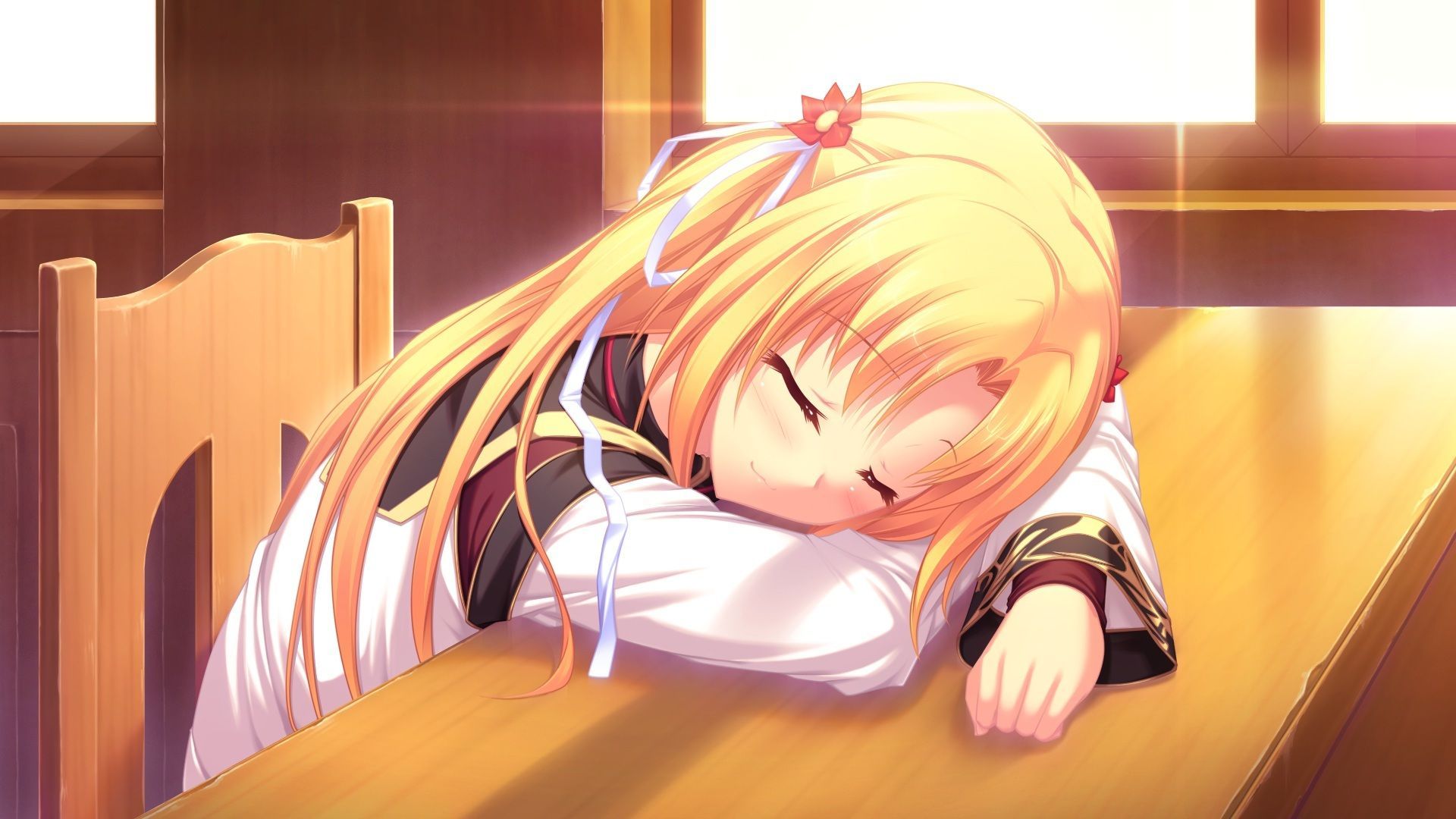 Anime, Girl, Sleeping, Cat, HD wallpaper | Peakpx