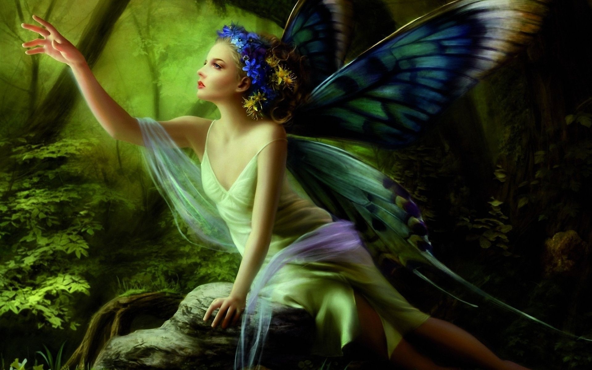 fairy, butterfly wallpaper desktop background