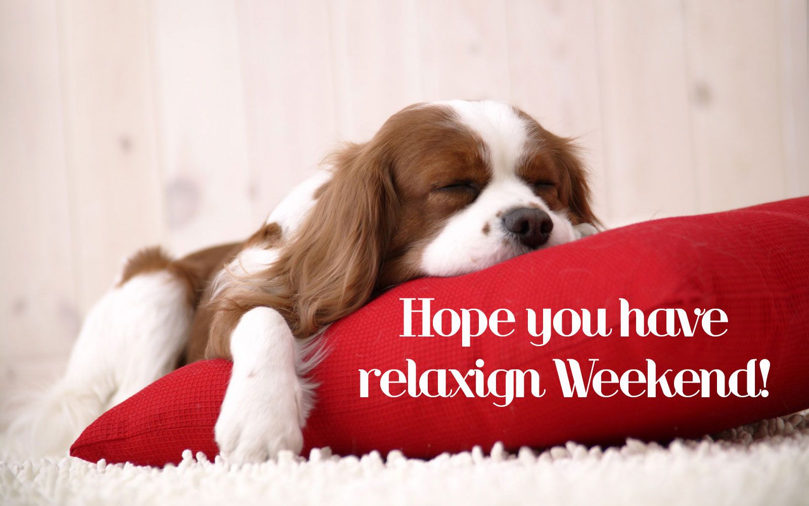 Hope you have a relaxing weekend sleep dog weekend weekend quotes