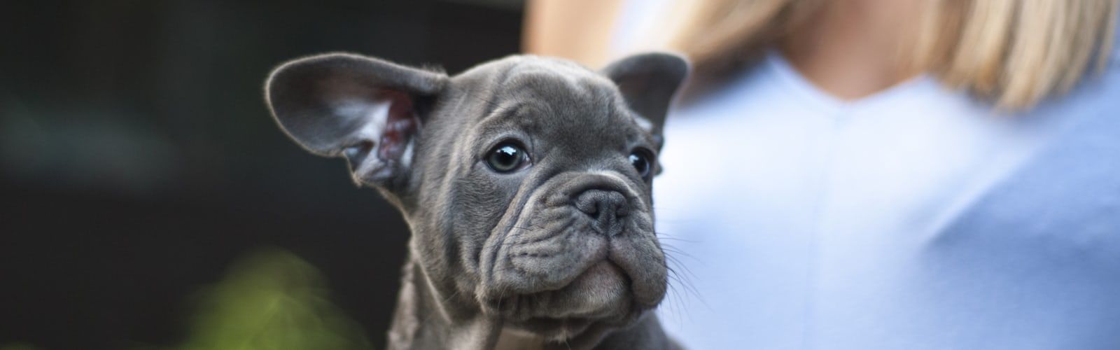 Cute Wallpaper [Download]. 's collection