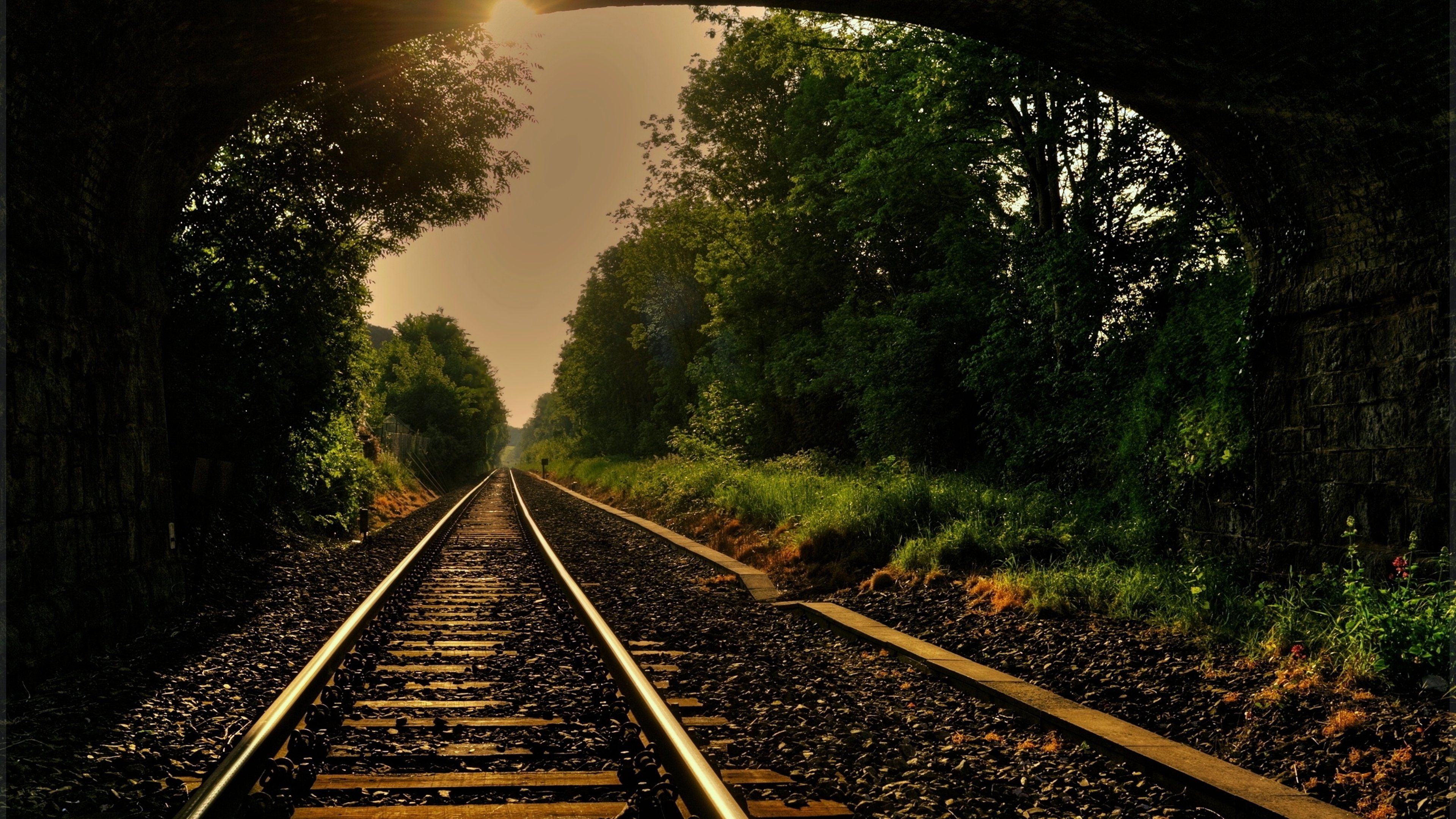countryside, Trees, Sky, Clouds, Green, Forest, Jungle, Railroad