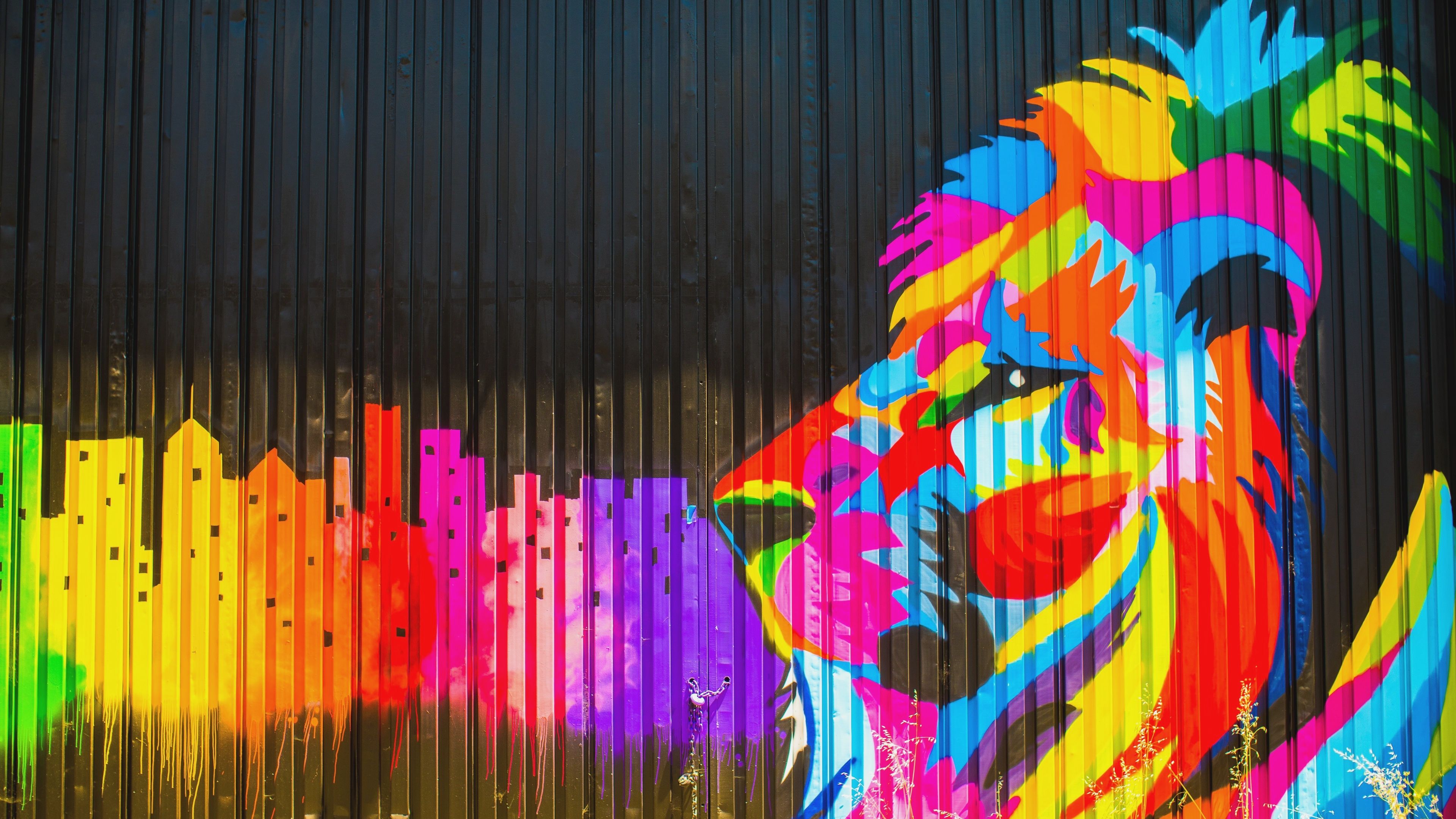 Colorful Lion HD Wallpaper