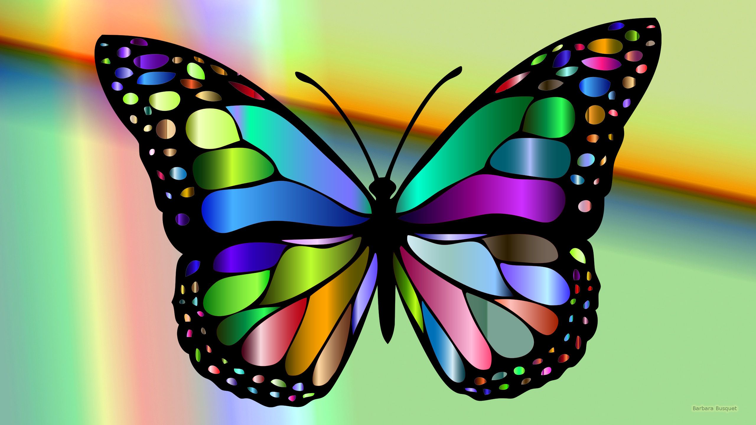 Colorful butterfly HD Wallpaper