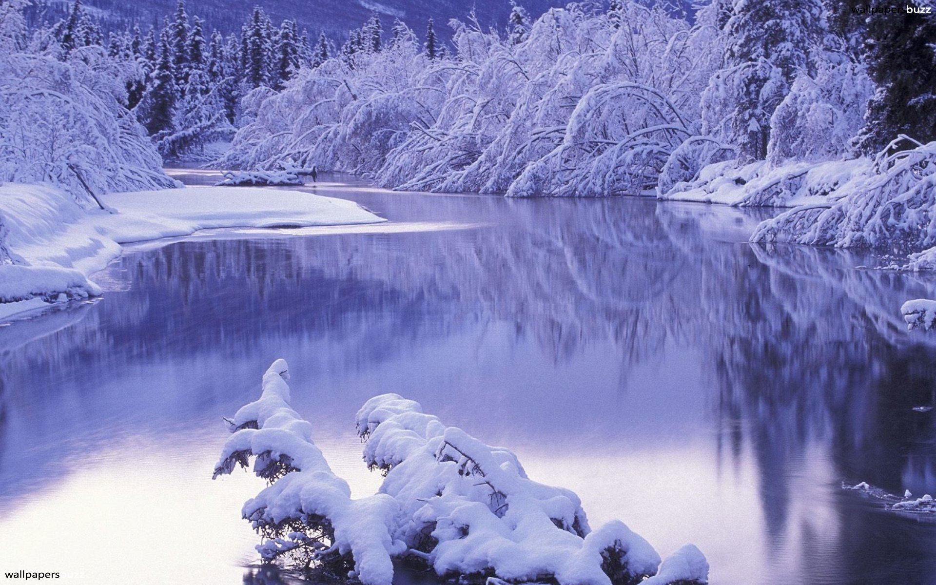 Winter River HD Wallpaper