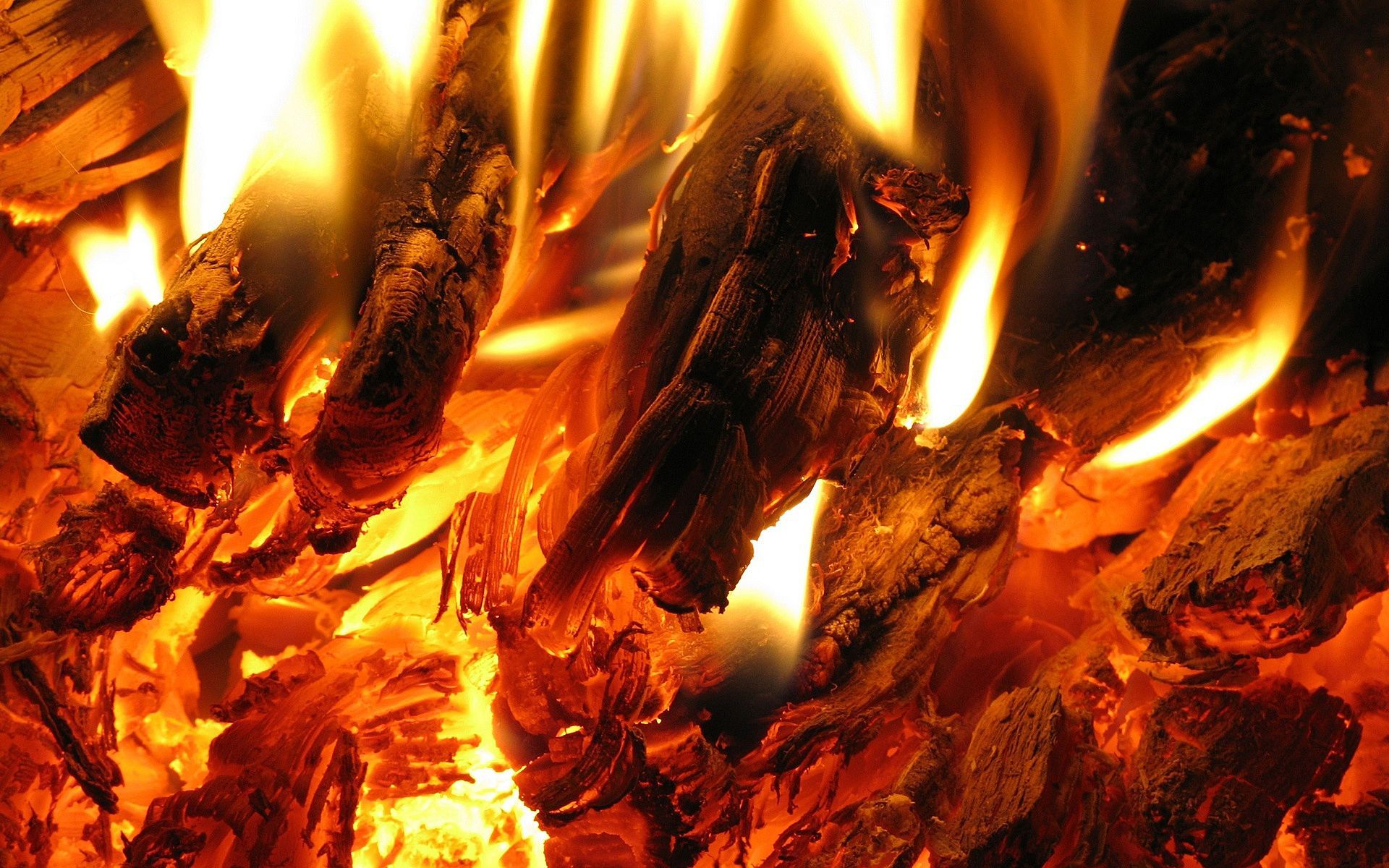 Download wallpaper fire, flame, the fire, heat, coal, section