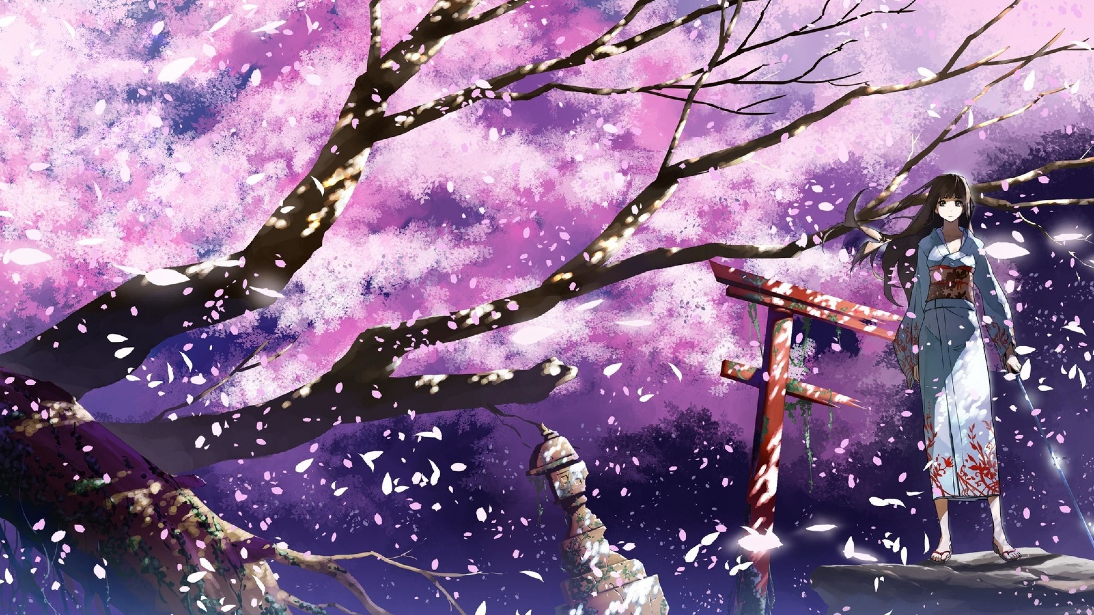 Desktop[4K Of The Day 20] Cherry Blossoms. Anime Cherry Blossom, Cherry Blossom Wallpaper, Anime Scenery Wallpaper