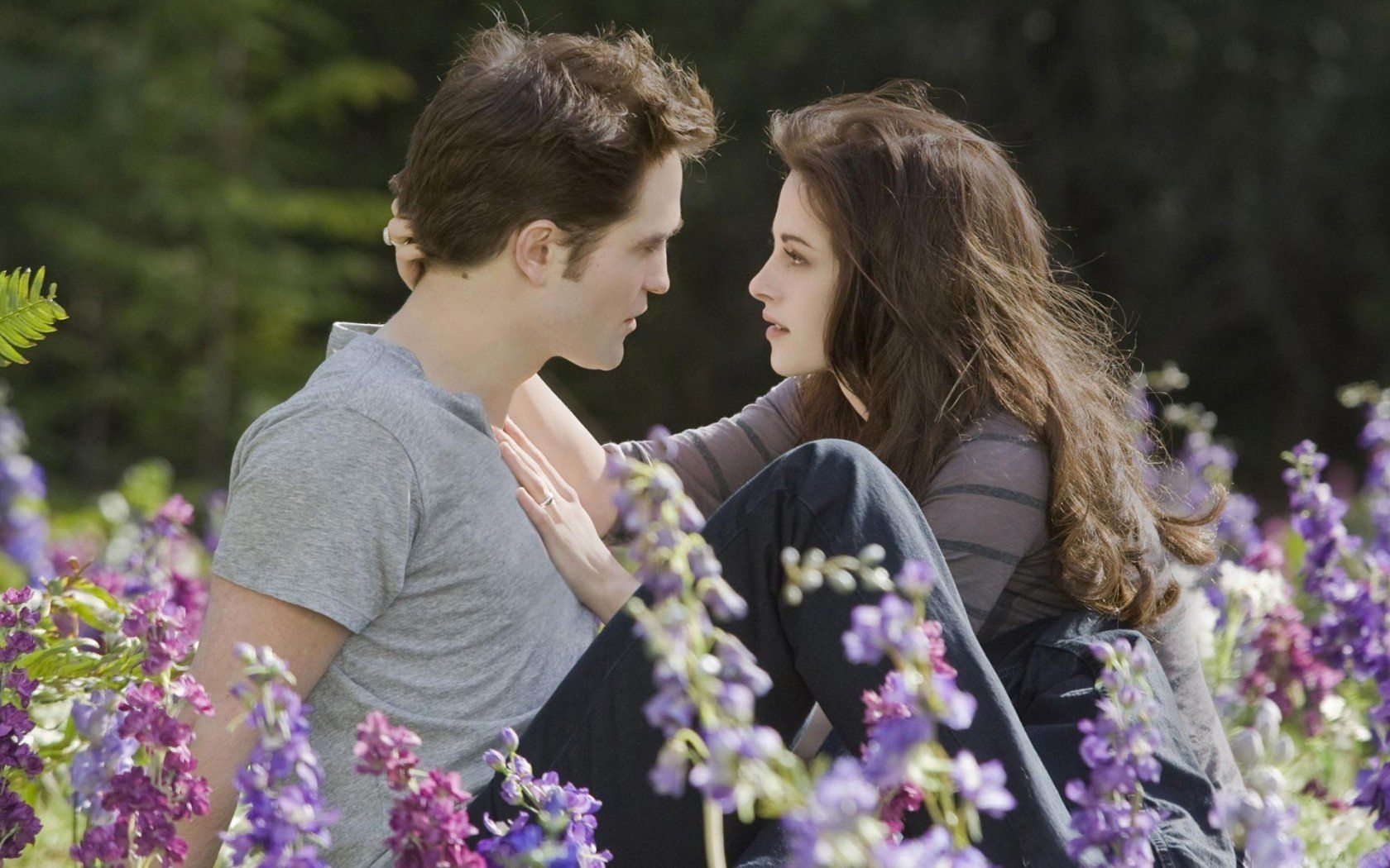 twilight, Edward, Bella, Robert, Pattinson, Flowers, Kristen