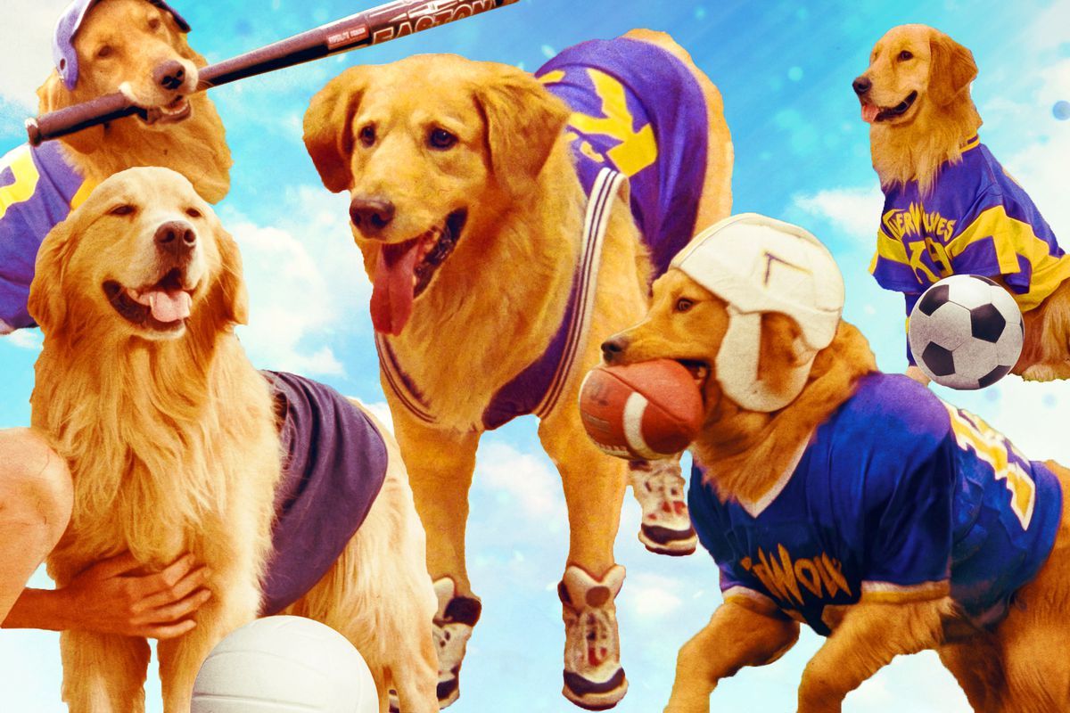 The 'Air Bud' Plausibility Rankings