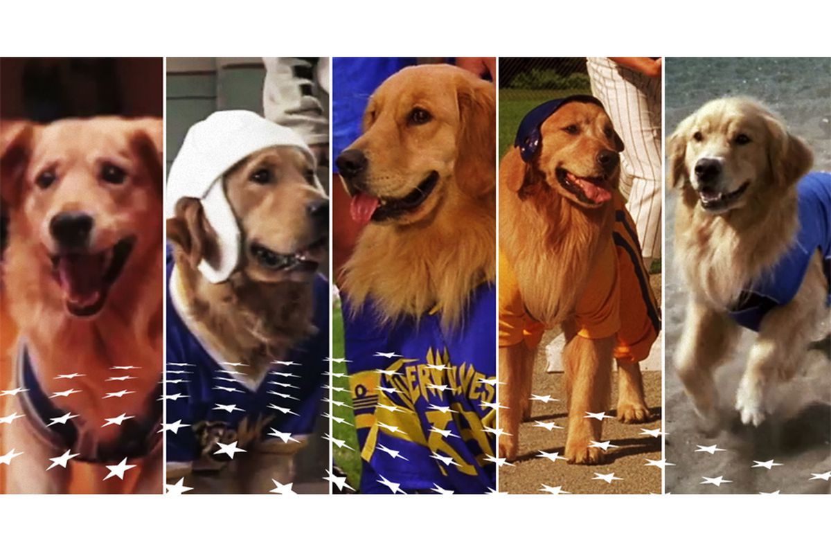 things I learned watching all 5 'Air Bud' movies
