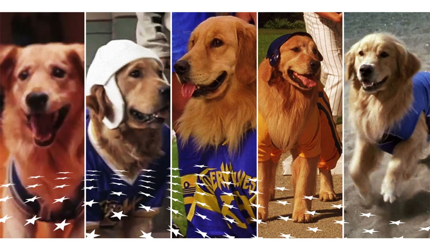 things I learned watching all 5 'Air Bud' movies