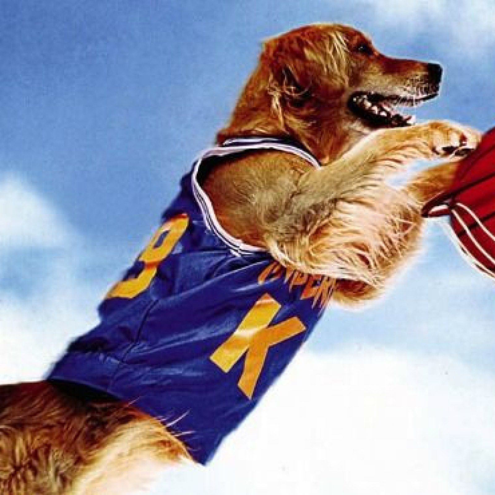 List 103+ Pictures pictures of air bud Excellent