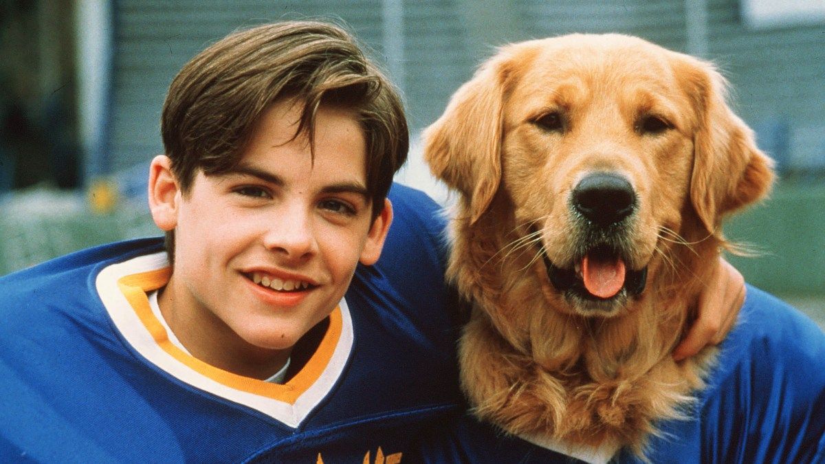 Kevin Zegers Says Revisiting 'Air Bud' Films Could Happen