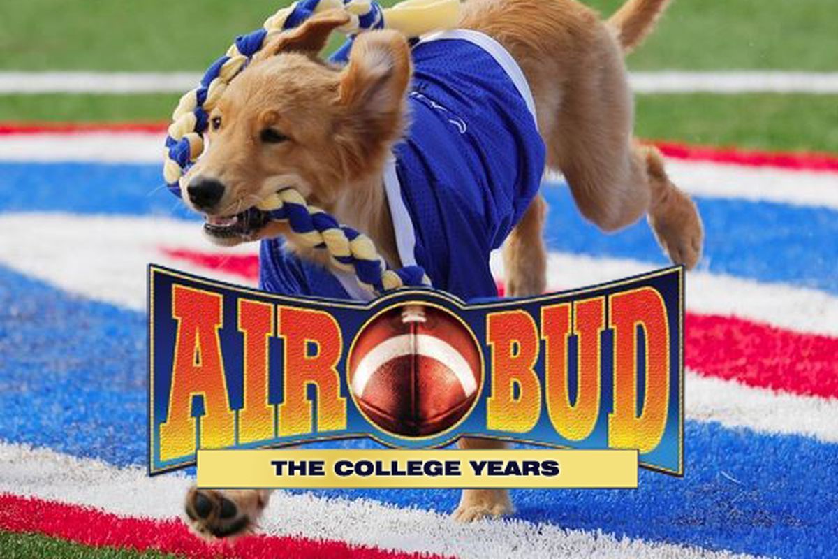 AIR BUD: THE COLLEGE YEARS Day Should Be Saturday