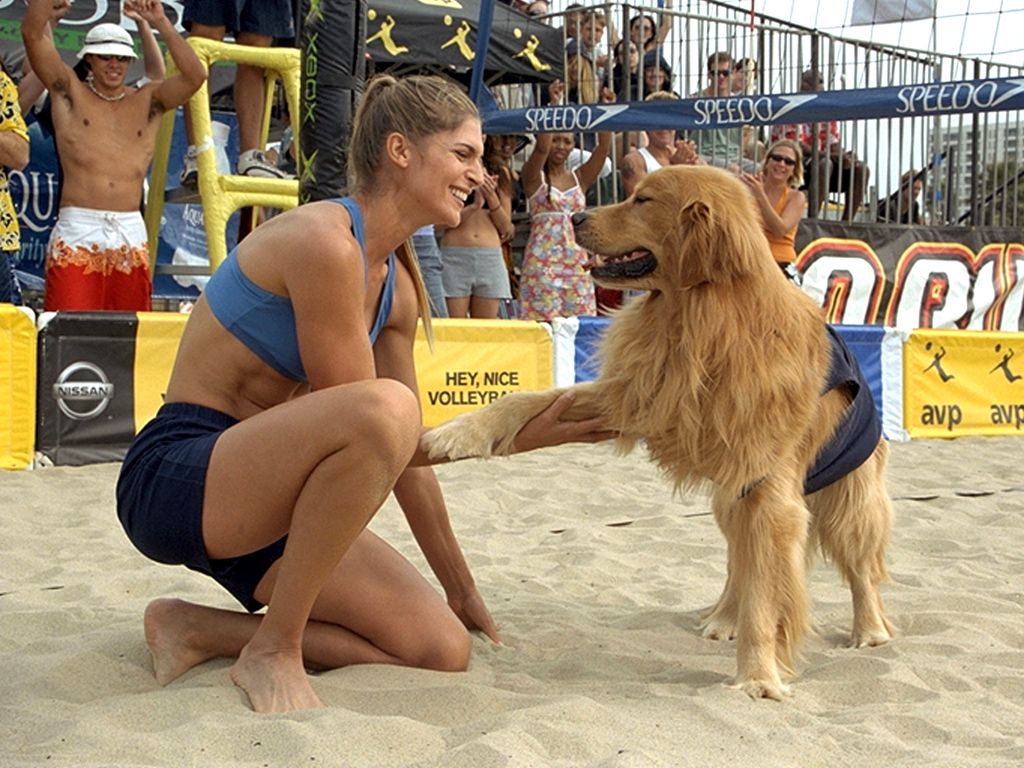 The Series Project: Air Bud (Part 2)