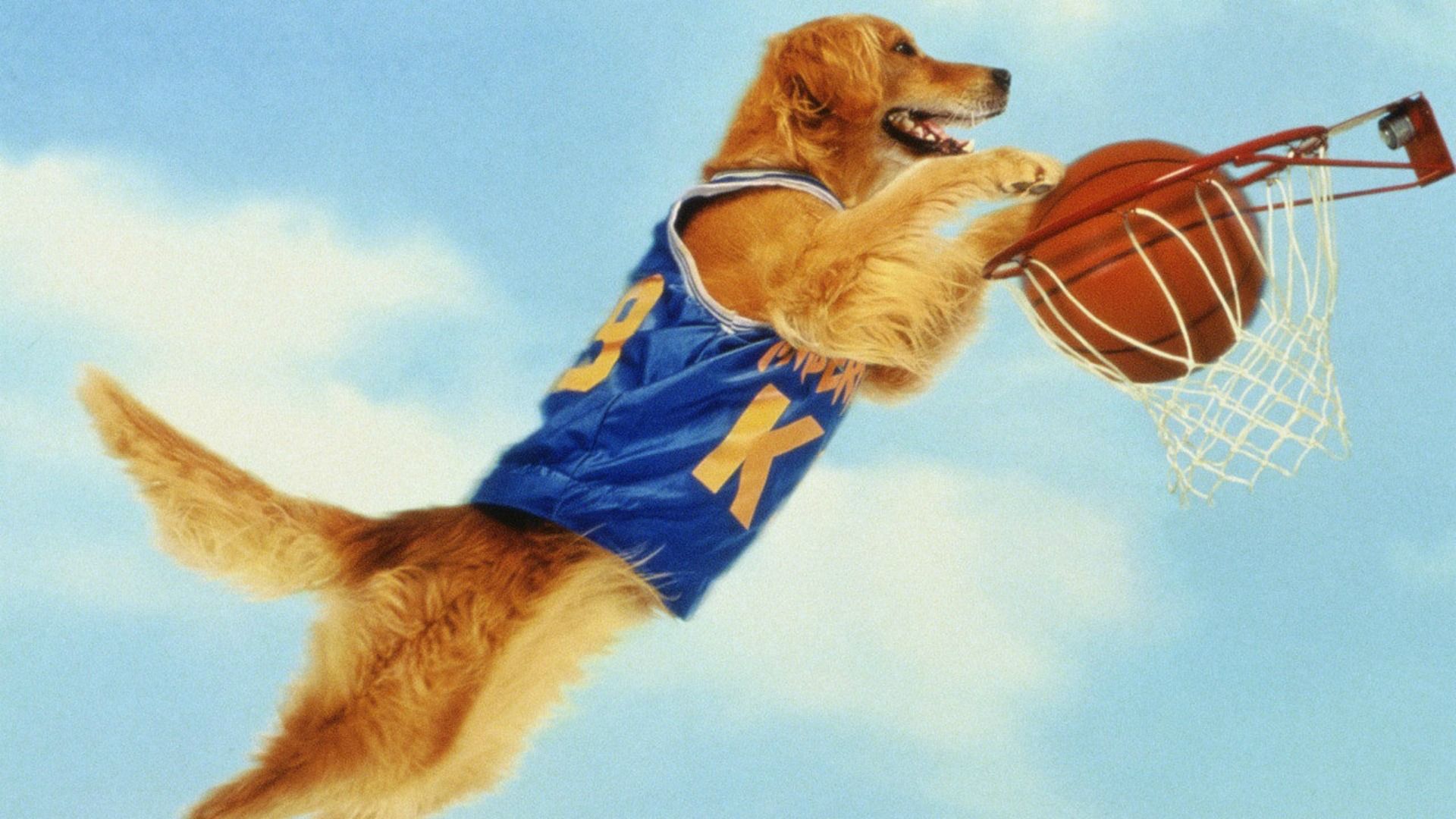 air bud