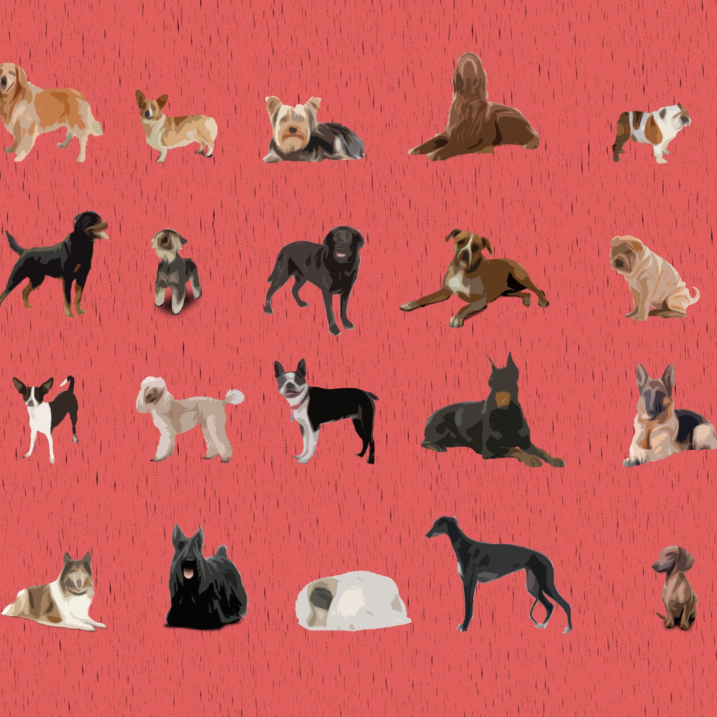 America's top dog: how the most popular breeds have changed over