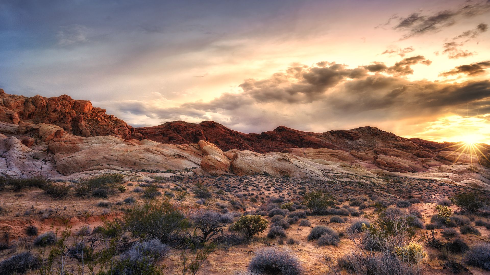 Family vacations: Red Rock Canyon National Conservation Area