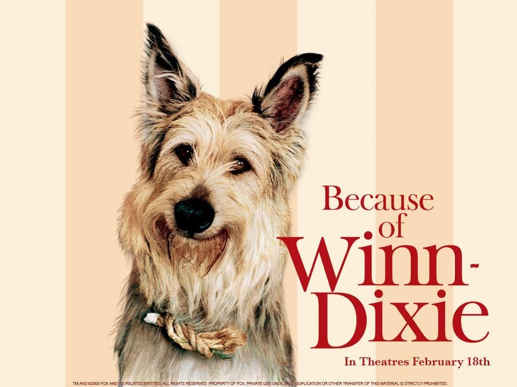 Check Out This #Kahoot Called 'Because Of Winn Dixie'