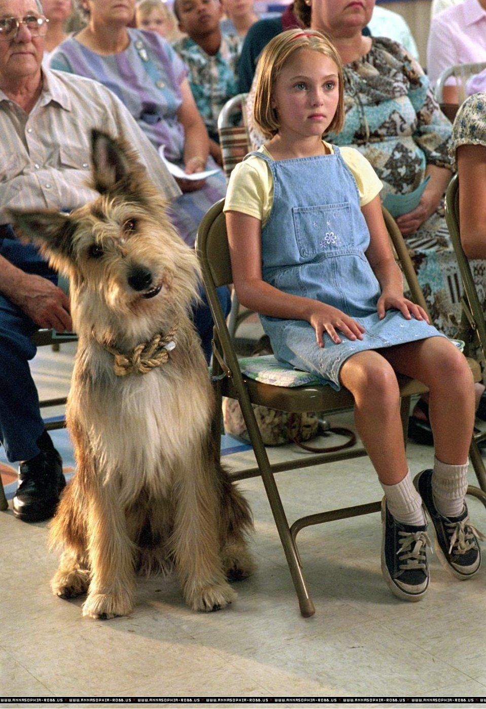 Because Of WinnDixie Wallpapers Wallpaper Cave