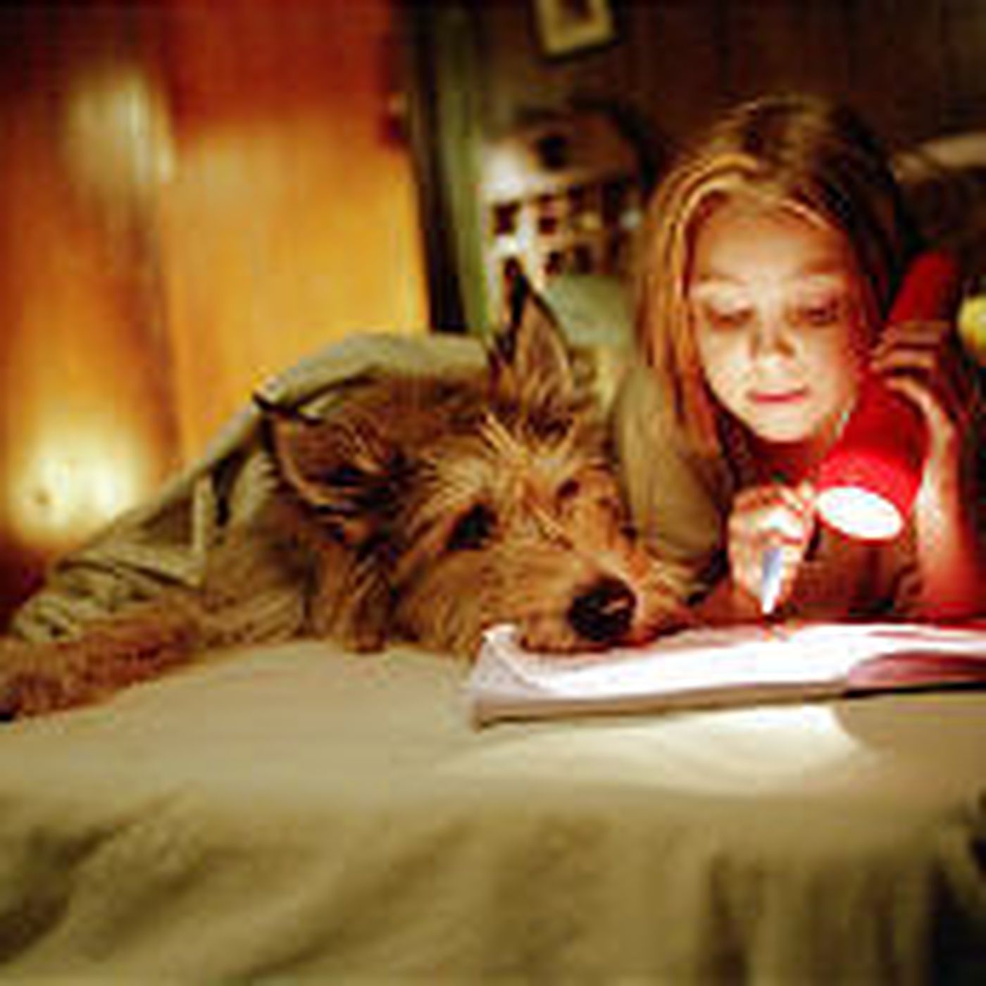 Film Review: Because Of Winn Dixie