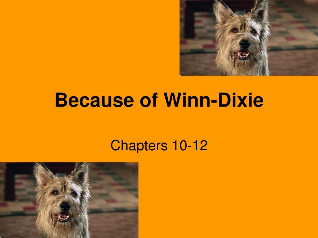 Because Of Winn Dixie Chapters Ppt Download