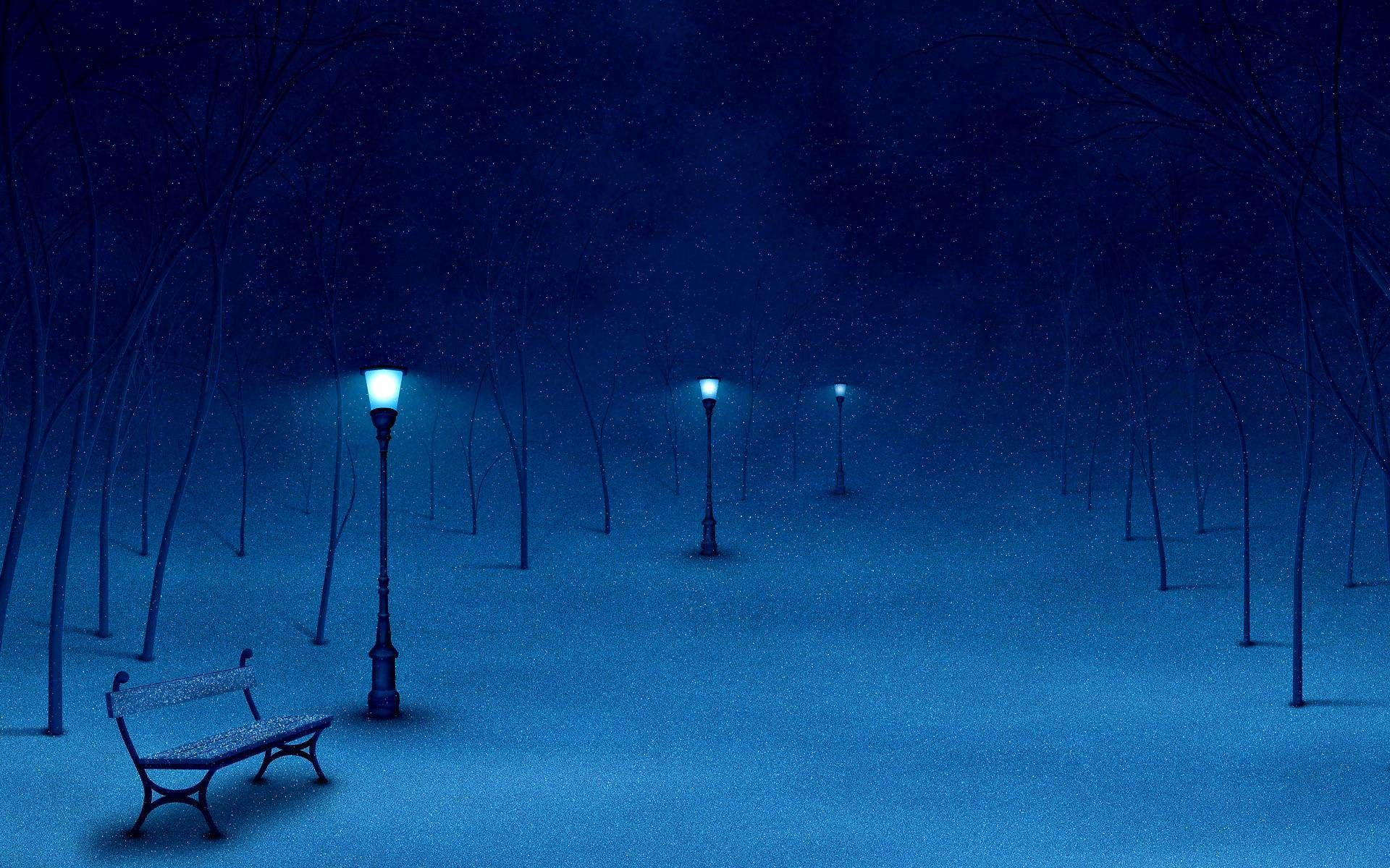 Winter Night Scenes