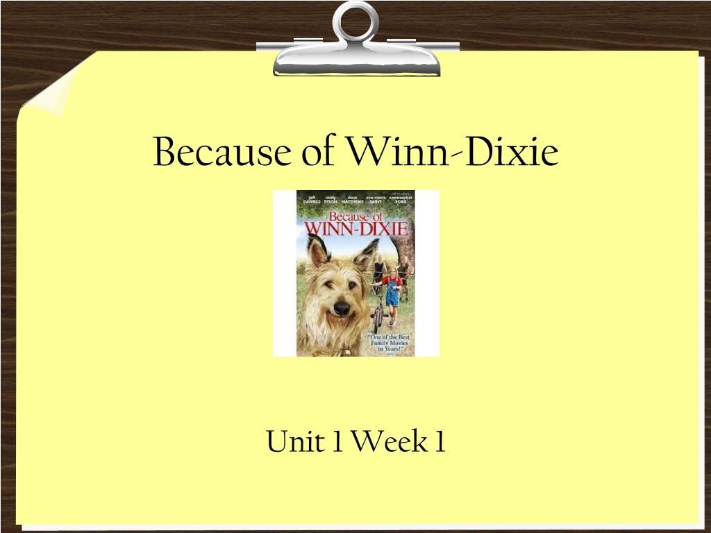 PPT Of Winn Dixie PowerPoint Presentation, Free Download