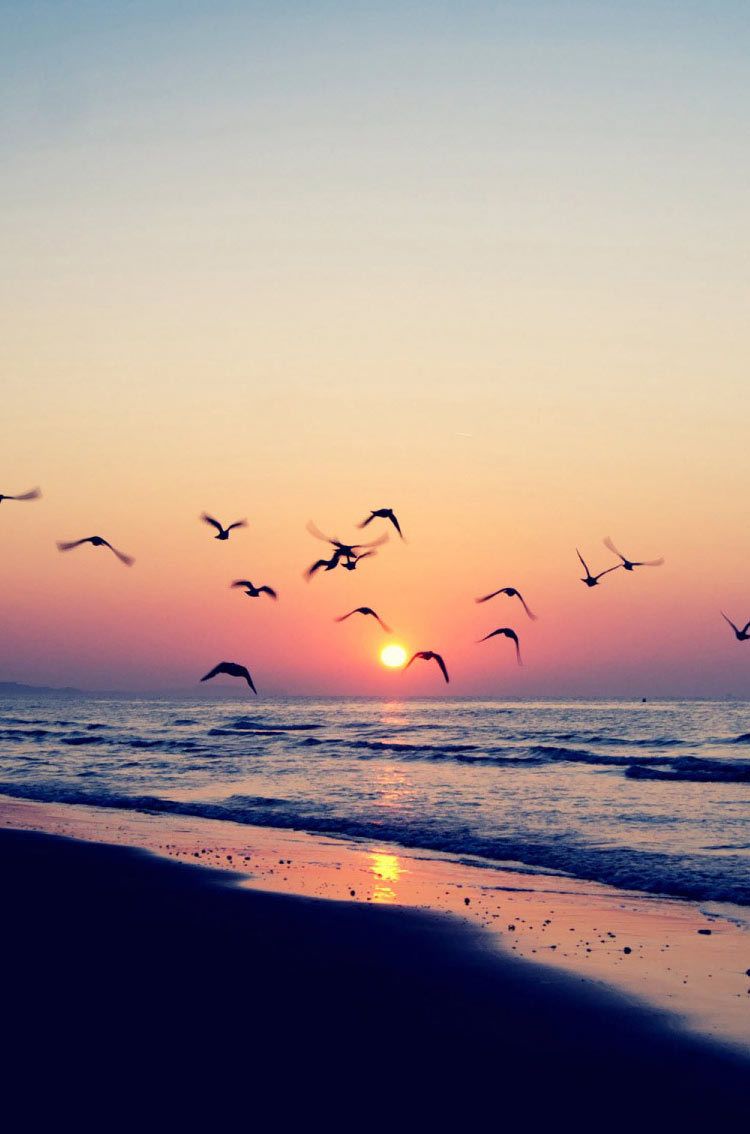 Landscape Sunset Beach iphone HD wallpaper
