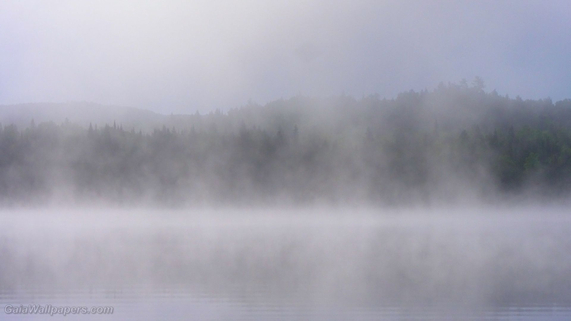 Lac Caisse dans la brume du matin fonds d'écran 1920x1080