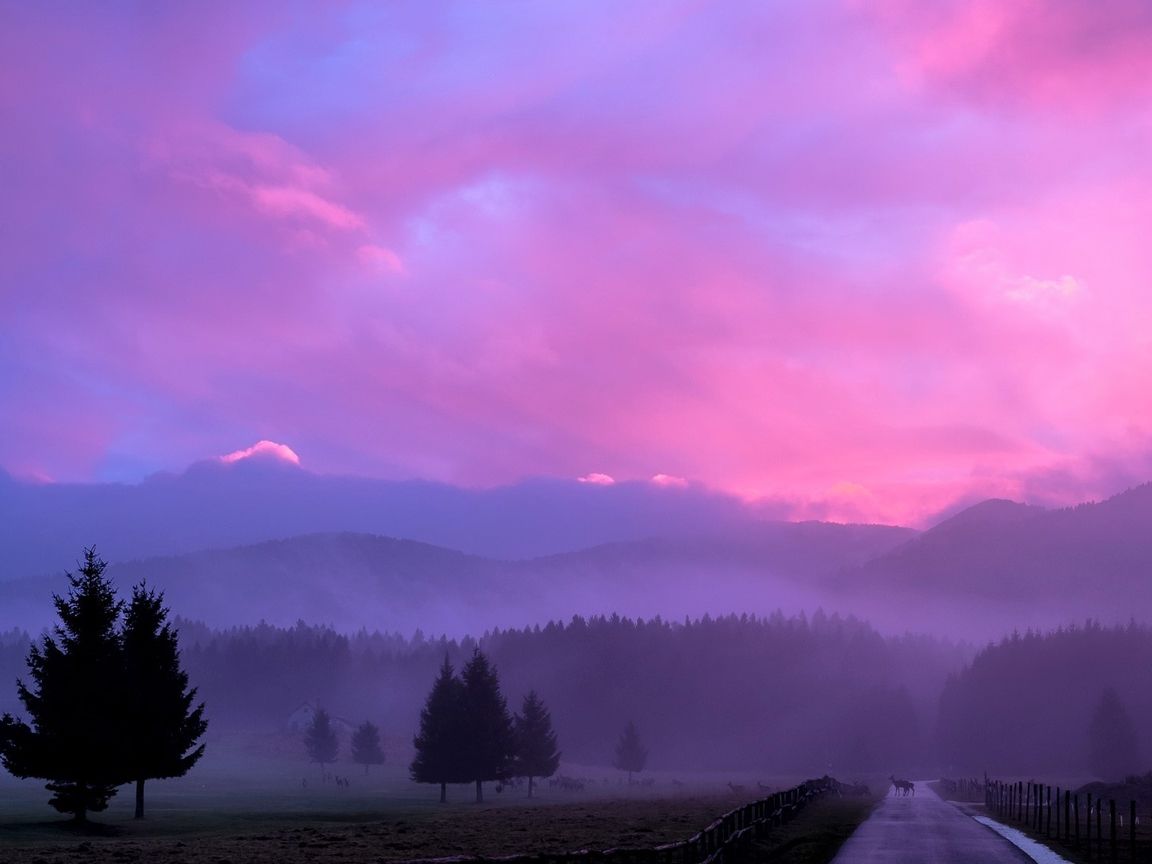 Misty Pink Sunset 1152x864 Resolution HD 4k Wallpaper