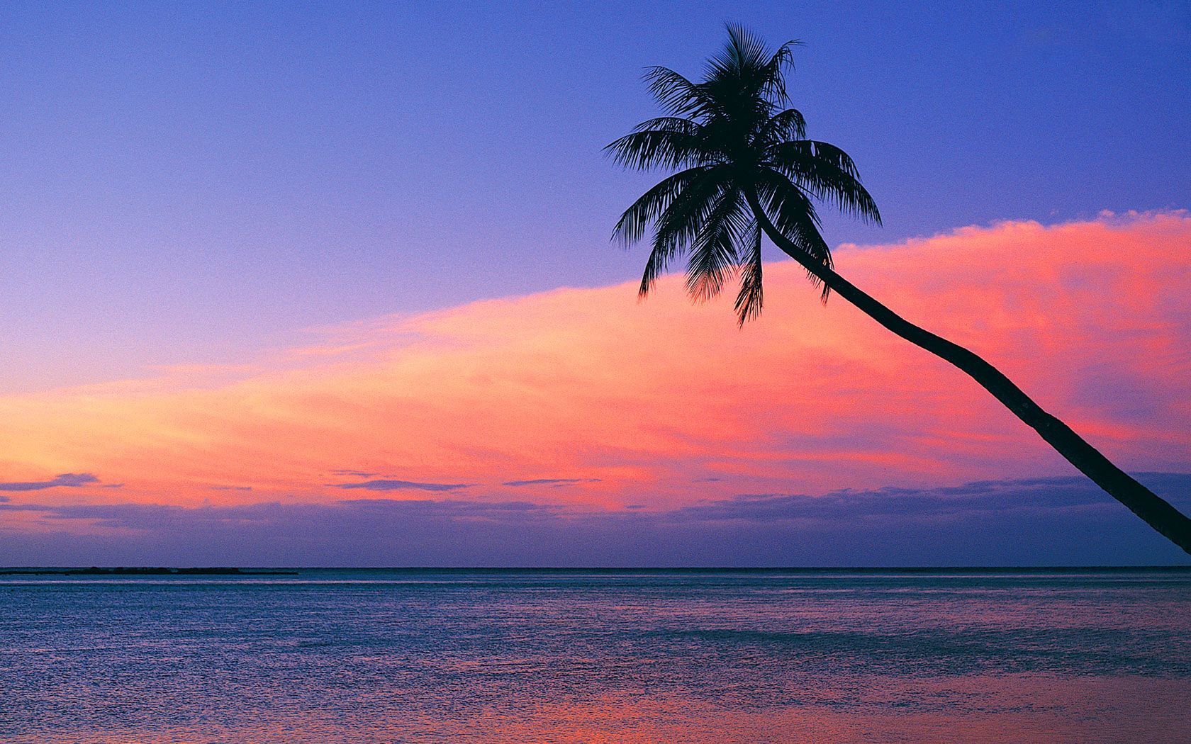 Look at the pink sunset from the beach wallpaper