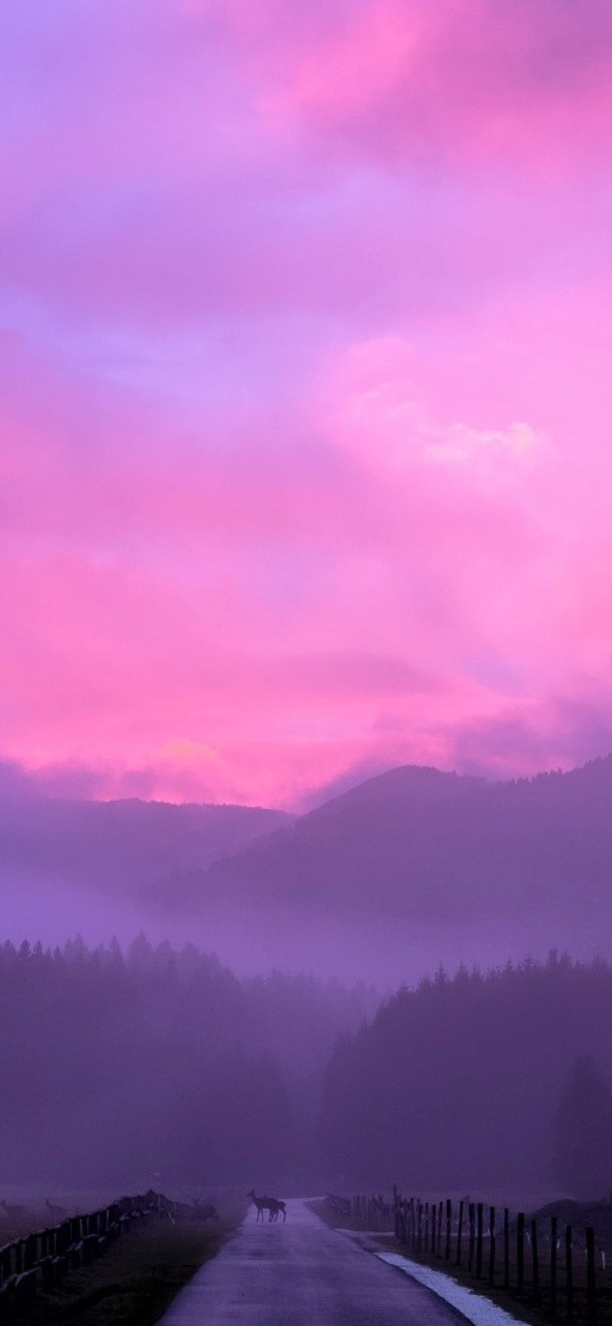Misty Pink Sunset iPhone XS MAX HD 4k Wallpaper, Image
