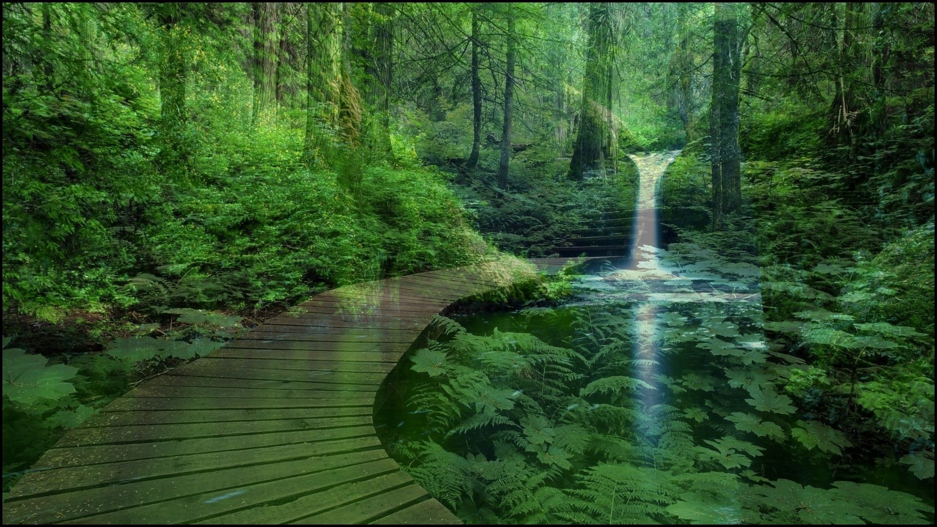 Aesthetic Laptop Forest Wallpapers - Wallpaper Cave